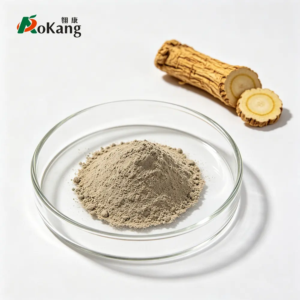 Angelica Sinensis Powder